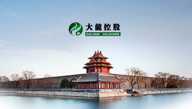大龙控股集团
