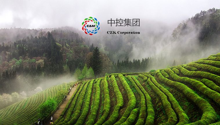 中控集团 网站设计