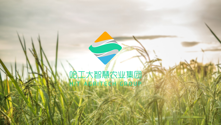 哈工大